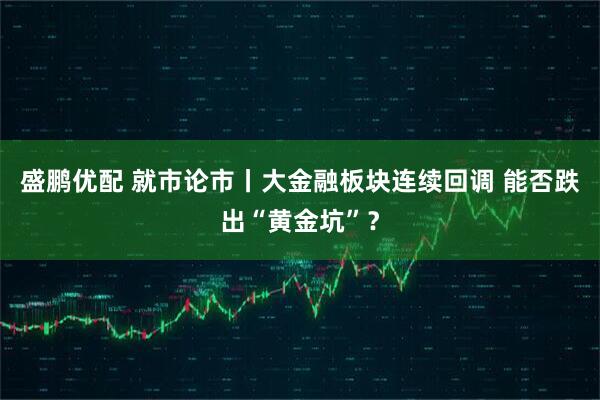 盛鹏优配 就市论市丨大金融板块连续回调 能否跌出“黄金坑”？