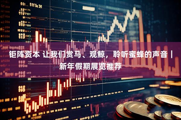 钜阵资本 让我们赏马、观鲸，聆听蜜蜂的声音｜新年假期展览推荐
