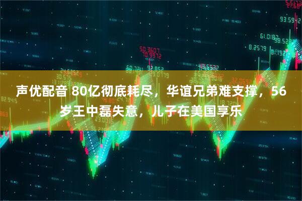 声优配音 80亿彻底耗尽，华谊兄弟难支撑，56岁王中磊失意，儿子在美国享乐