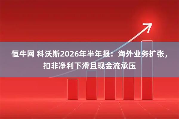 恒牛网 科沃斯2026年半年报：海外业务扩张，扣非净利下滑且现金流承压